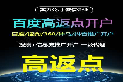 某电商平台的SEM推广实战经验
