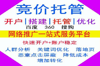 网络营销新篇章：竞价推广案例分析
